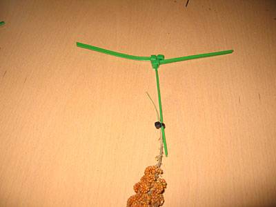 484tina_dachhalterung_3.jpg 484tina_dachhalterung_3.jpg