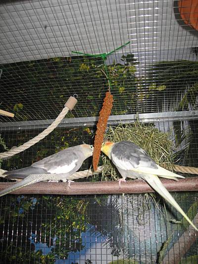 484tina_dachhalterung_6.jpg 484tina_dachhalterung_6.jpg