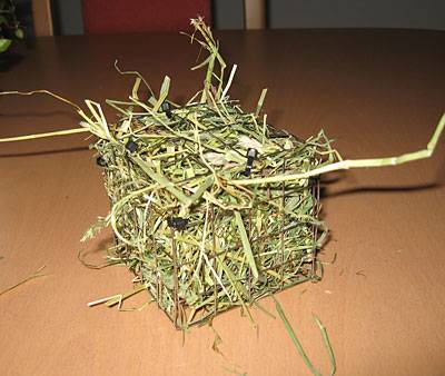 484tina_gitterbox_7.jpg 484tina_gitterbox_7.jpg