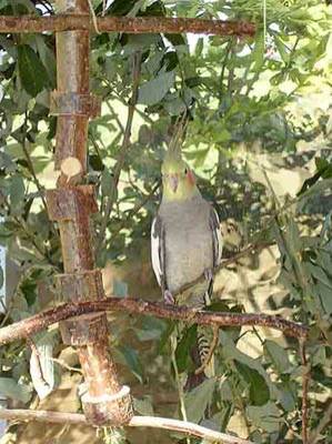 alex_karussell_1.jpg alex_karussell_1.jpg