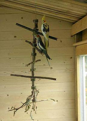 alex_karussell_2.jpg alex_karussell_2.jpg