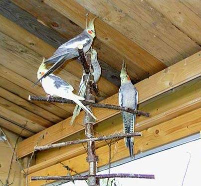 alex_karussell_3.jpg alex_karussell_3.jpg