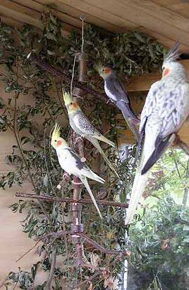 alex_karussell_4.jpg alex_karussell_4.jpg