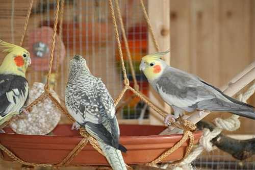 anjanamaire_haengeteller_2.jpg anjanamaire_haengeteller_2.jpg