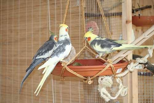 anjanamaire_haengeteller_3.jpg anjanamaire_haengeteller_3.jpg