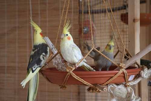 anjanamaire_haengeteller_4.jpg anjanamaire_haengeteller_4.jpg