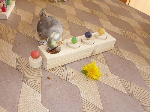 bocly_aktiv_08.jpg bocly_aktiv_08.jpg