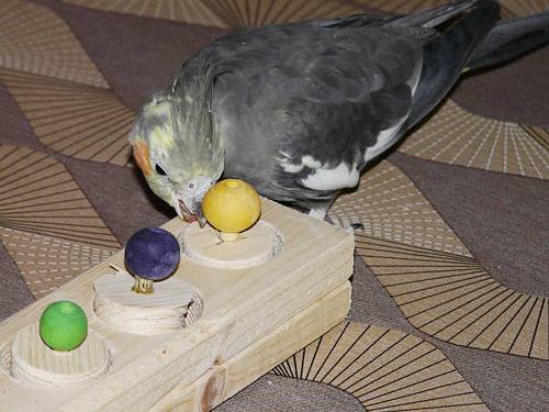 bocly_aktiv_t.jpg bocly_aktiv_t.jpg