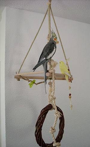 budzen_schaukel_1.jpg budzen_schaukel_1.jpg