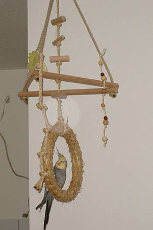 budzen_schaukel_3.jpg budzen_schaukel_3.jpg