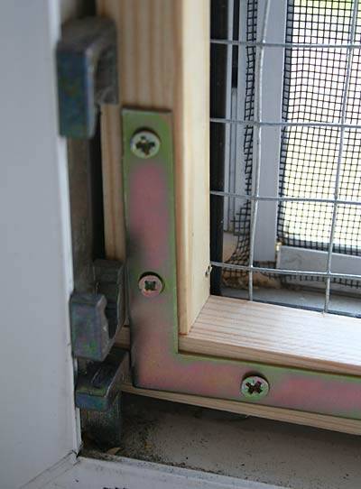 flori_fenster_5.jpg flori_fenster_5.jpg