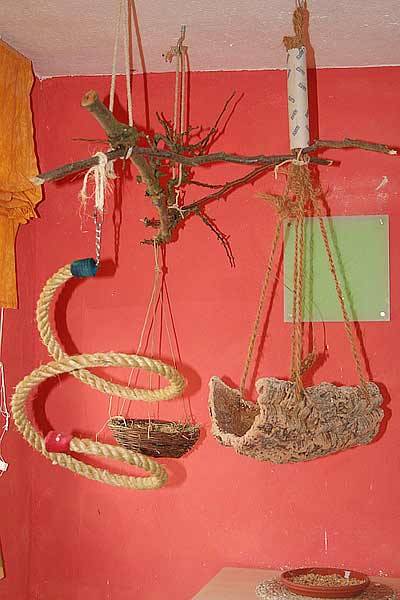 flori_haengeplatz_2.jpg flori_haengeplatz_2.jpg