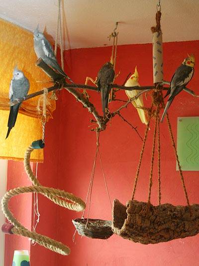 flori_haengeplatz_4.jpg flori_haengeplatz_4.jpg