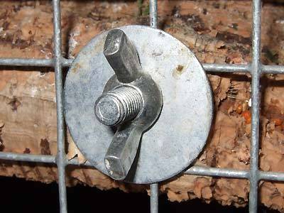 jana_brett_10.jpg jana_brett_10.jpg