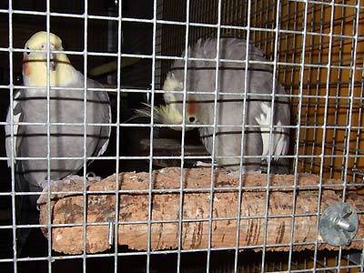 jana_brett_11.jpg jana_brett_11.jpg