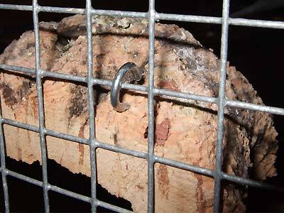 jana_brett_3.jpg jana_brett_3.jpg