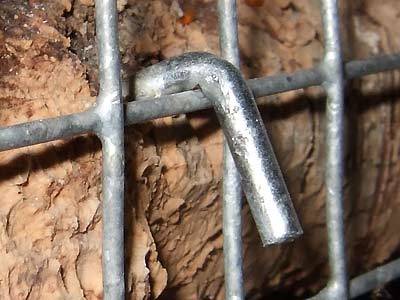 jana_brett_9.jpg jana_brett_9.jpg