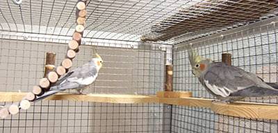 jana_eckregal_10.jpg jana_eckregal_10.jpg