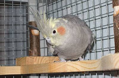 jana_eckregal_4.jpg jana_eckregal_4.jpg