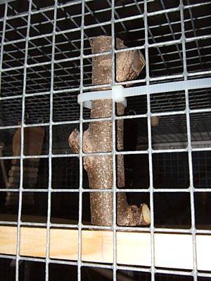 jana_eckregal_7.jpg jana_eckregal_7.jpg