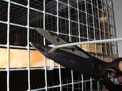 jana_eckregal_9.jpg jana_eckregal_9.jpg