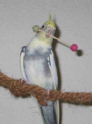 jana_hantel_15.jpg jana_hantel_15.jpg