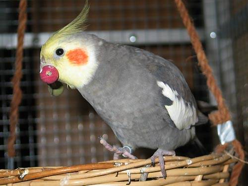 jana_hantel_3.jpg jana_hantel_3.jpg