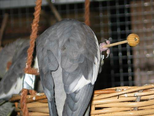 jana_hantel_4.jpg jana_hantel_4.jpg