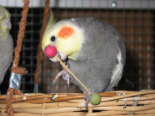 jana_hantel_5.jpg jana_hantel_5.jpg