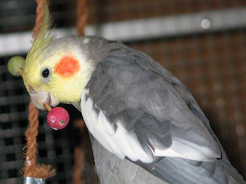 jana_hantel_7.jpg jana_hantel_7.jpg