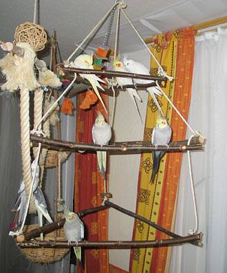 jana_pyramide_1.jpg jana_pyramide_1.jpg