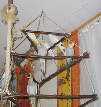 jana_pyramide_2.jpg jana_pyramide_2.jpg