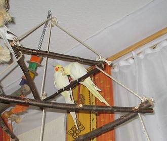 jana_pyramide_3.jpg jana_pyramide_3.jpg