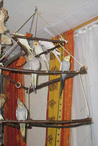 jana_pyramide_4.jpg jana_pyramide_4.jpg