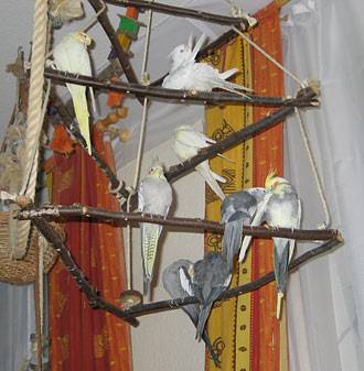 jana_pyramide_5.jpg jana_pyramide_5.jpg