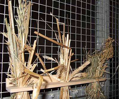 jana_schredderbar_1.jpg jana_schredderbar_1.jpg