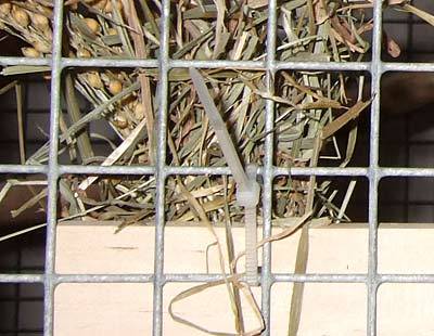 jana_schredderbar_3.jpg jana_schredderbar_3.jpg