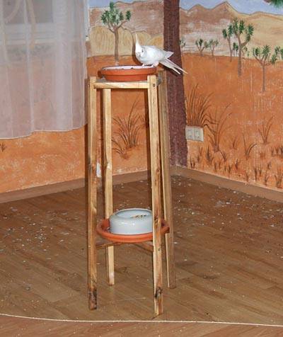 jantin_futterstaender_t.jpg jantin_futterstaender_t.jpg