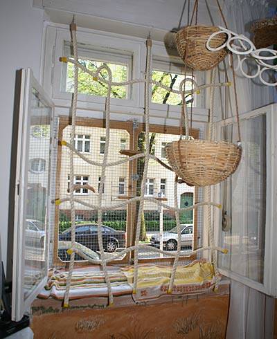 jantin_netz_1.jpg jantin_netz_1.jpg