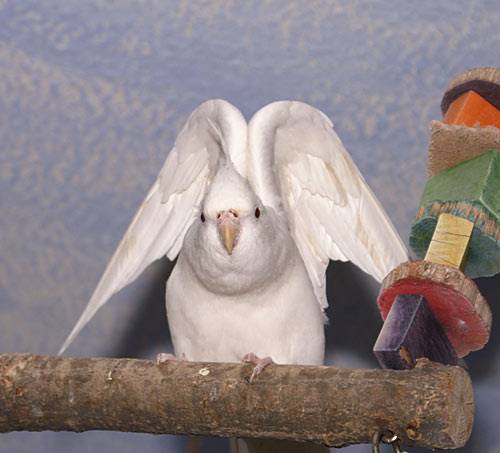 jantin_netz_10.jpg jantin_netz_10.jpg