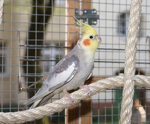 jantin_netz_2.jpg jantin_netz_2.jpg