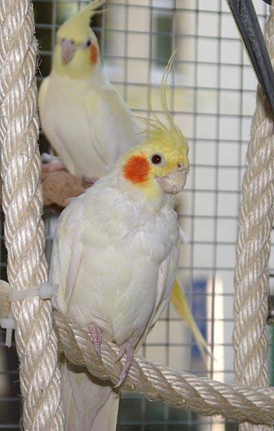 jantin_netz_4.jpg jantin_netz_4.jpg