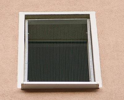 knusel_fenster_1.jpg knusel_fenster_1.jpg