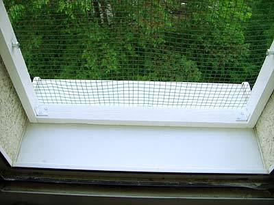 knusel_fenster_7.jpg knusel_fenster_7.jpg