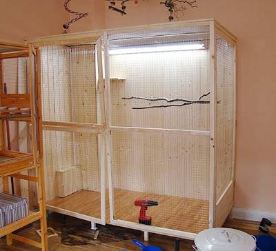 lilo_voliere_11.jpg lilo_voliere_11.jpg