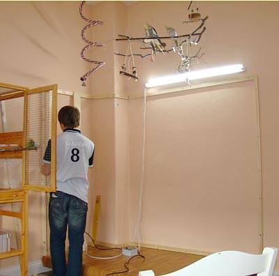 lilo_voliere_5.jpg lilo_voliere_5.jpg