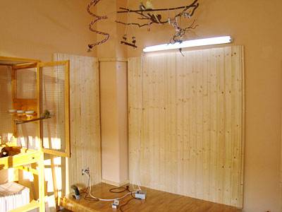 lilo_voliere_6.jpg lilo_voliere_6.jpg