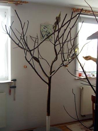 natsge_vogelbaum_0.jpg natsge_vogelbaum_0.jpg