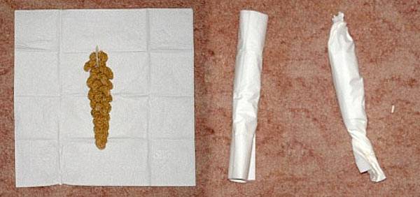 nymphi07_hirse_1.jpg nymphi07_hirse_1.jpg