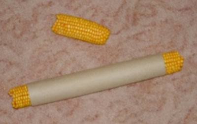 nymphi07_mais_2.jpg nymphi07_mais_2.jpg